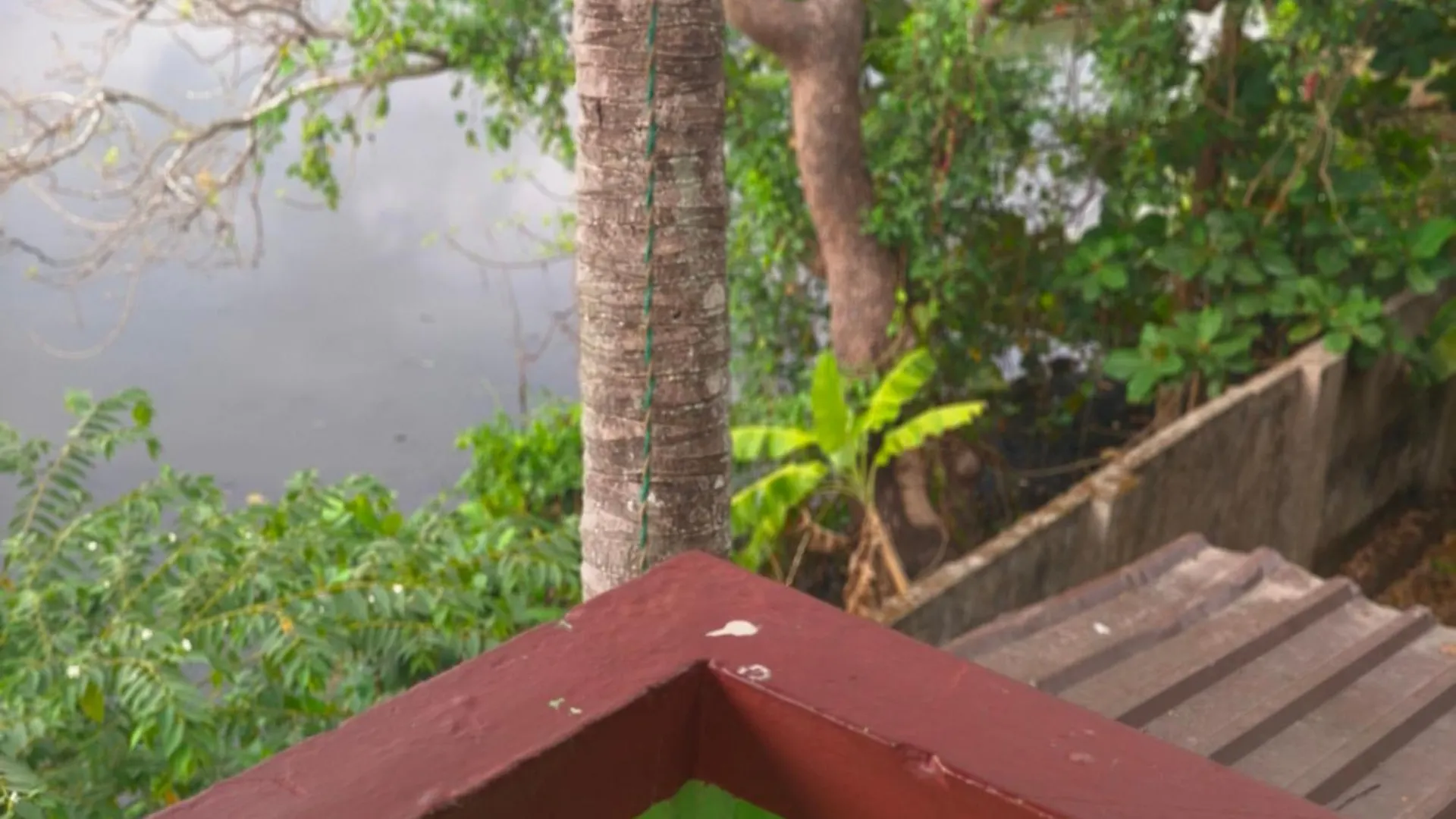 Apartment Fios Aparts Kochi
